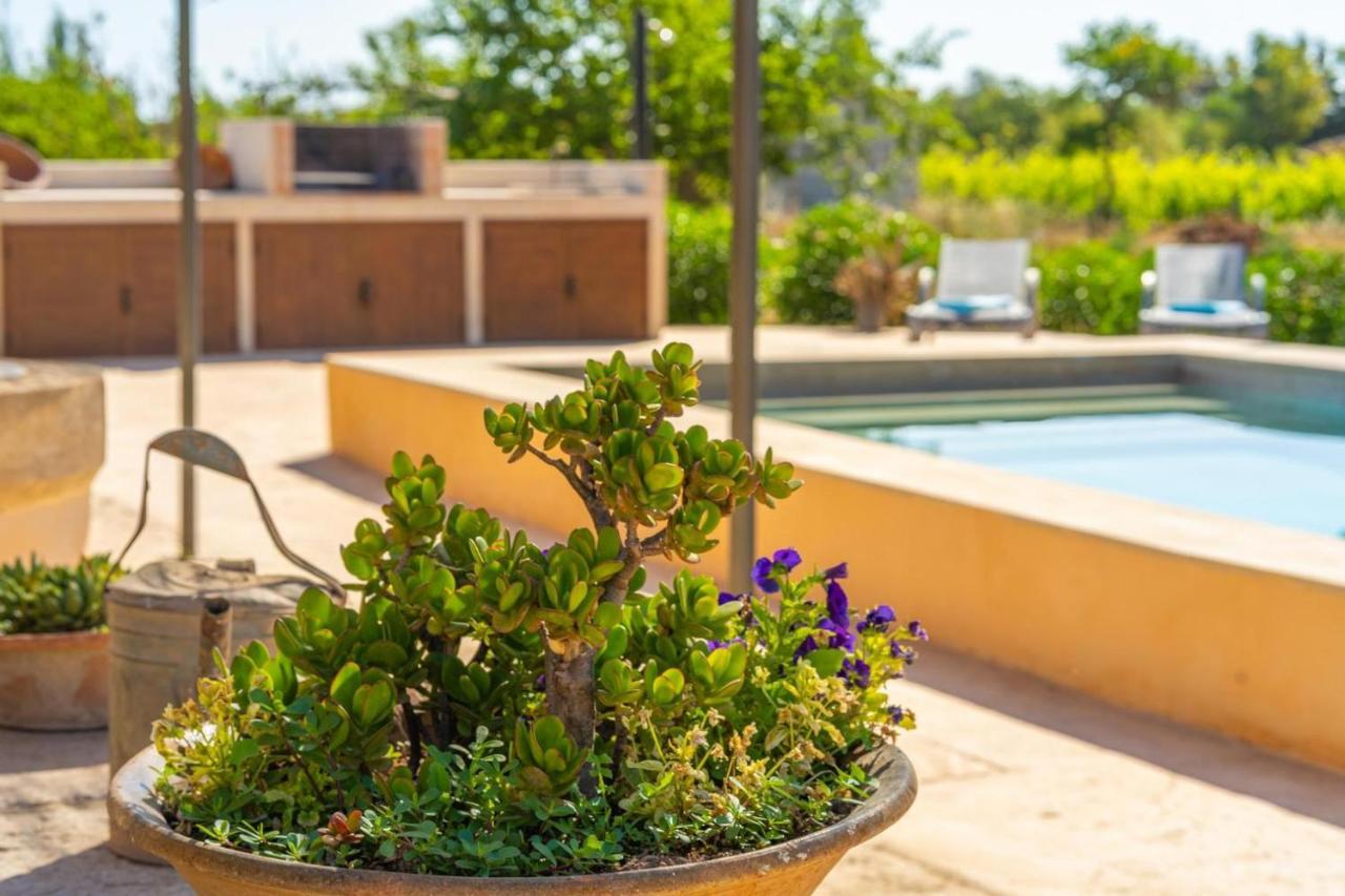Campestre Es Verger Blue Vakantiehuis *